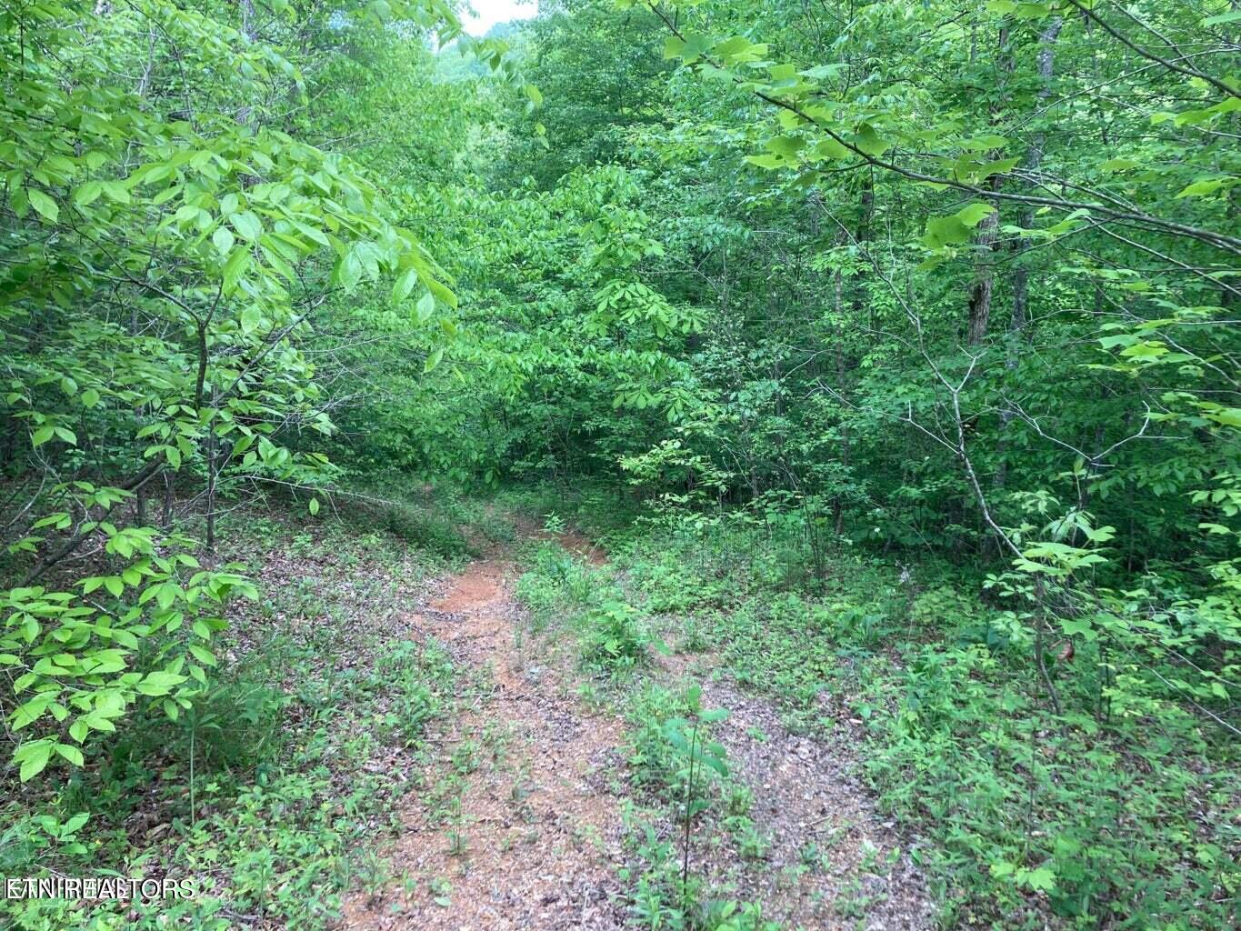 Old Us Highway 27-mtn View Road Robbins TN 37852