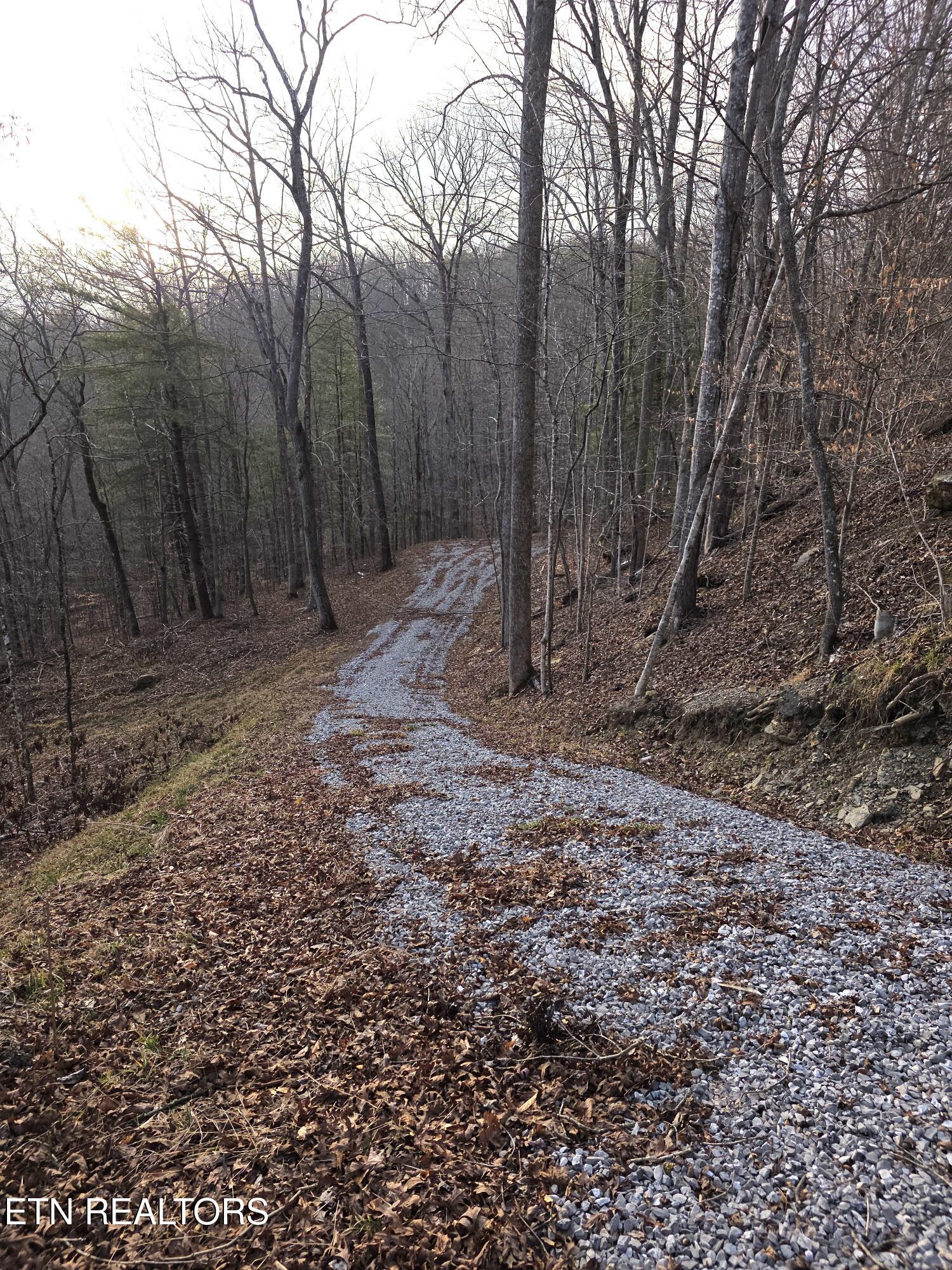 Old Us Highway 27-mtn View Road Robbins TN 37852