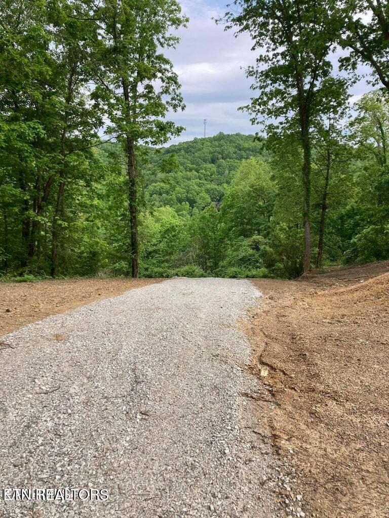 Old Us Highway 27-mtn View Road Robbins TN 37852