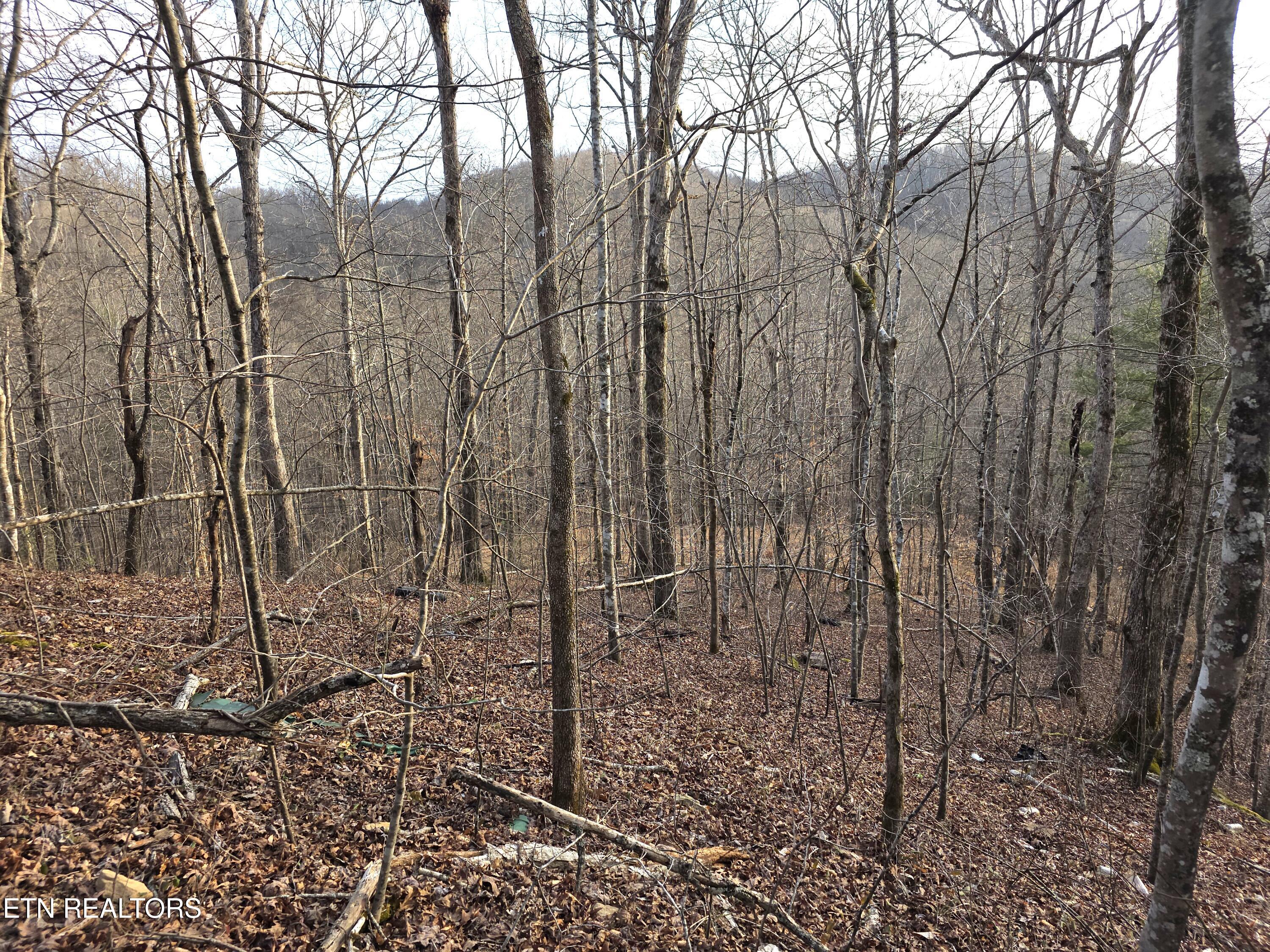 Old Us Highway 27-mtn View Road Robbins TN 37852