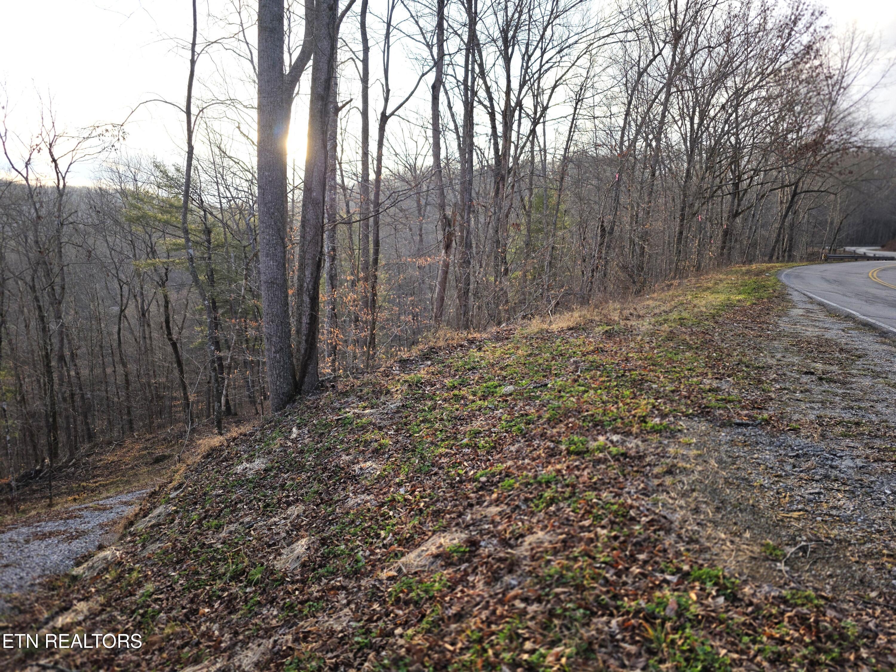 Old Us Highway 27-mtn View Road Robbins TN 37852