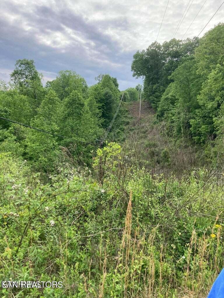 Old Us Highway 27-mtn View Road Robbins TN 37852