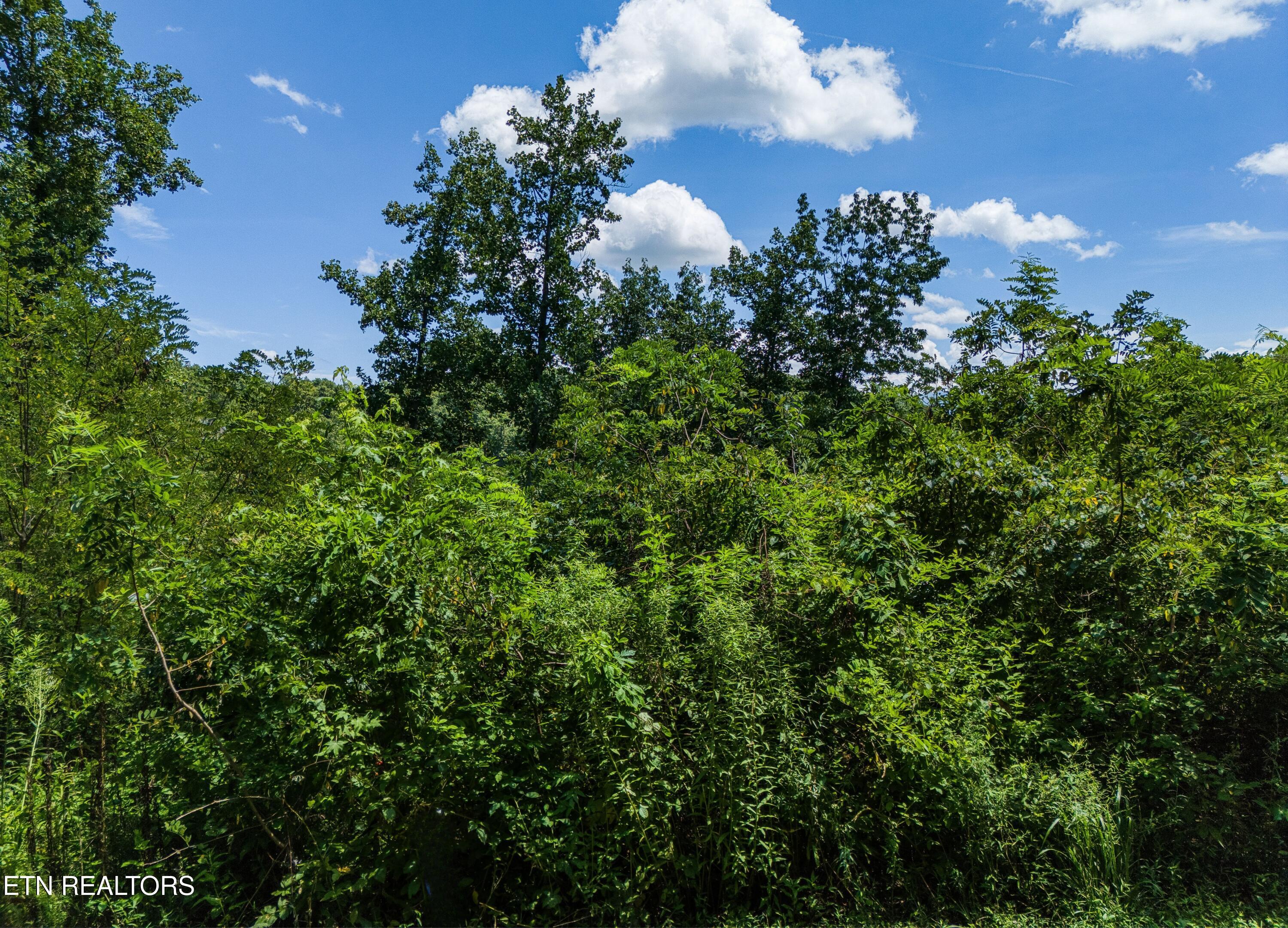 Lot 11 Sanctuary Shores Way Sevierville TN 37876