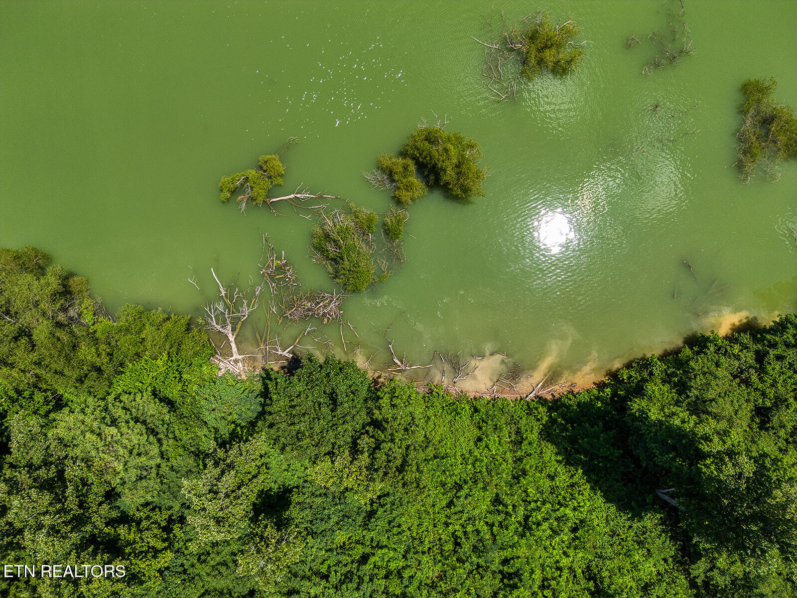 Lot 11 Sanctuary Shores Way Sevierville TN 37876