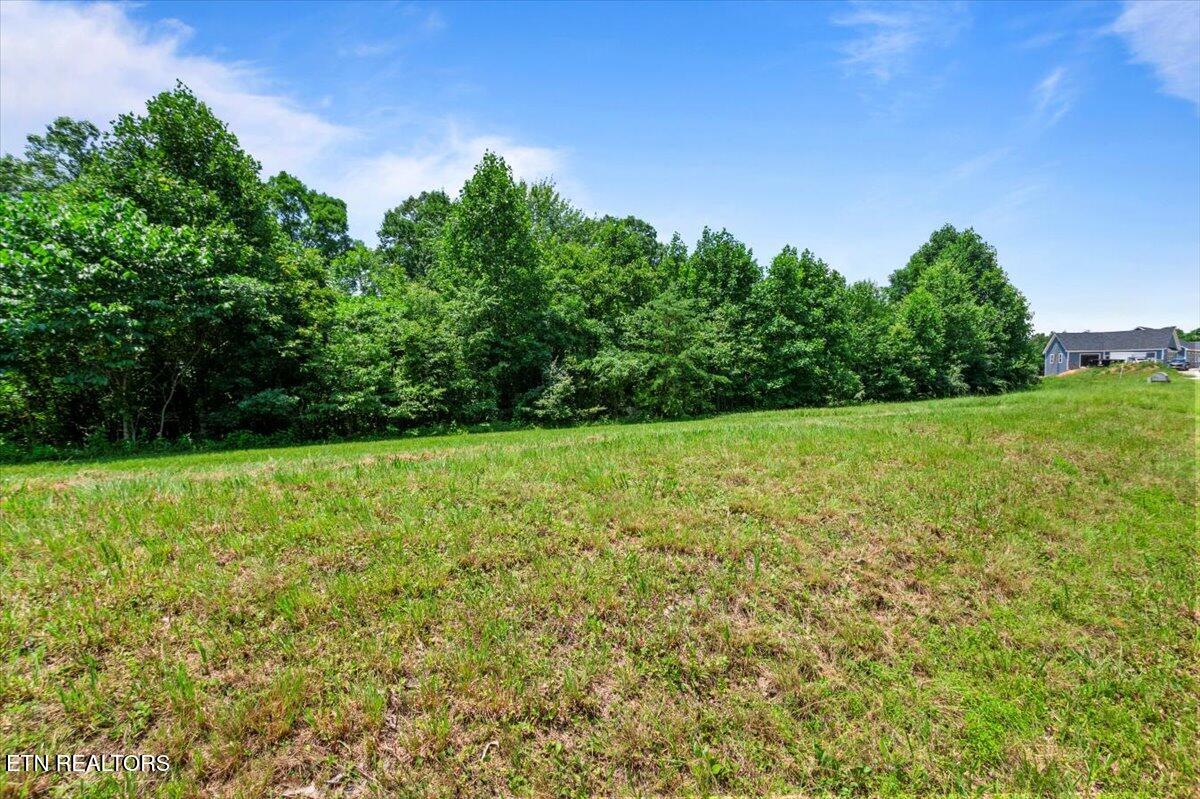 565 S Two Rivers Lane Lafollette TN 37766