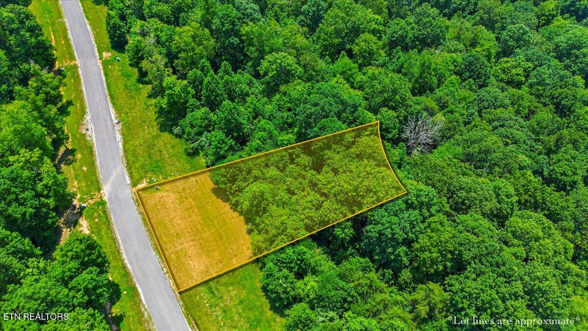 565 S Two Rivers Lane Lafollette TN 37766