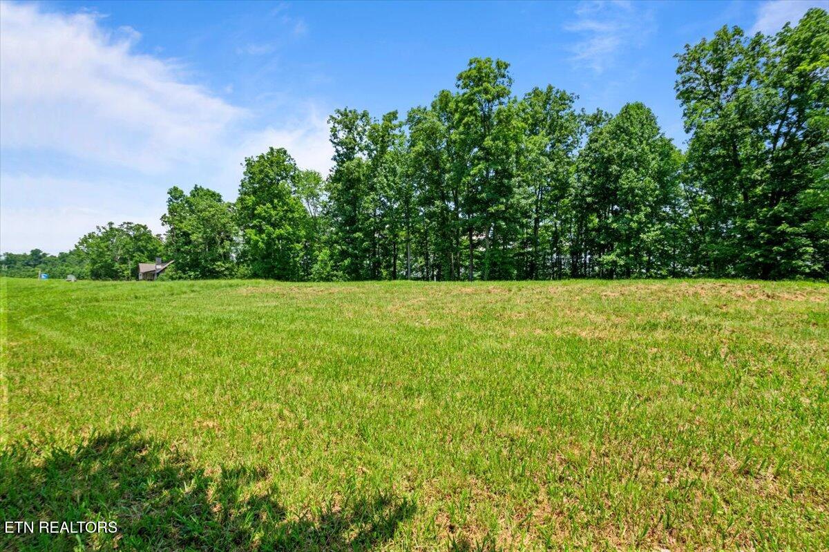 565 S Two Rivers Lane Lafollette TN 37766