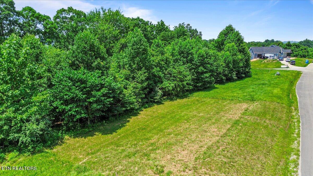 565 S Two Rivers Lane Lafollette TN 37766