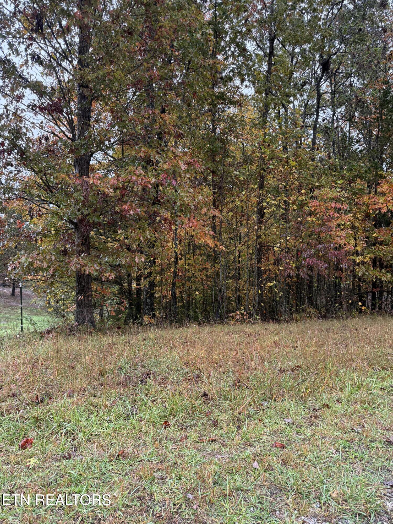 Eagle Bluff Jamestown TN 38556