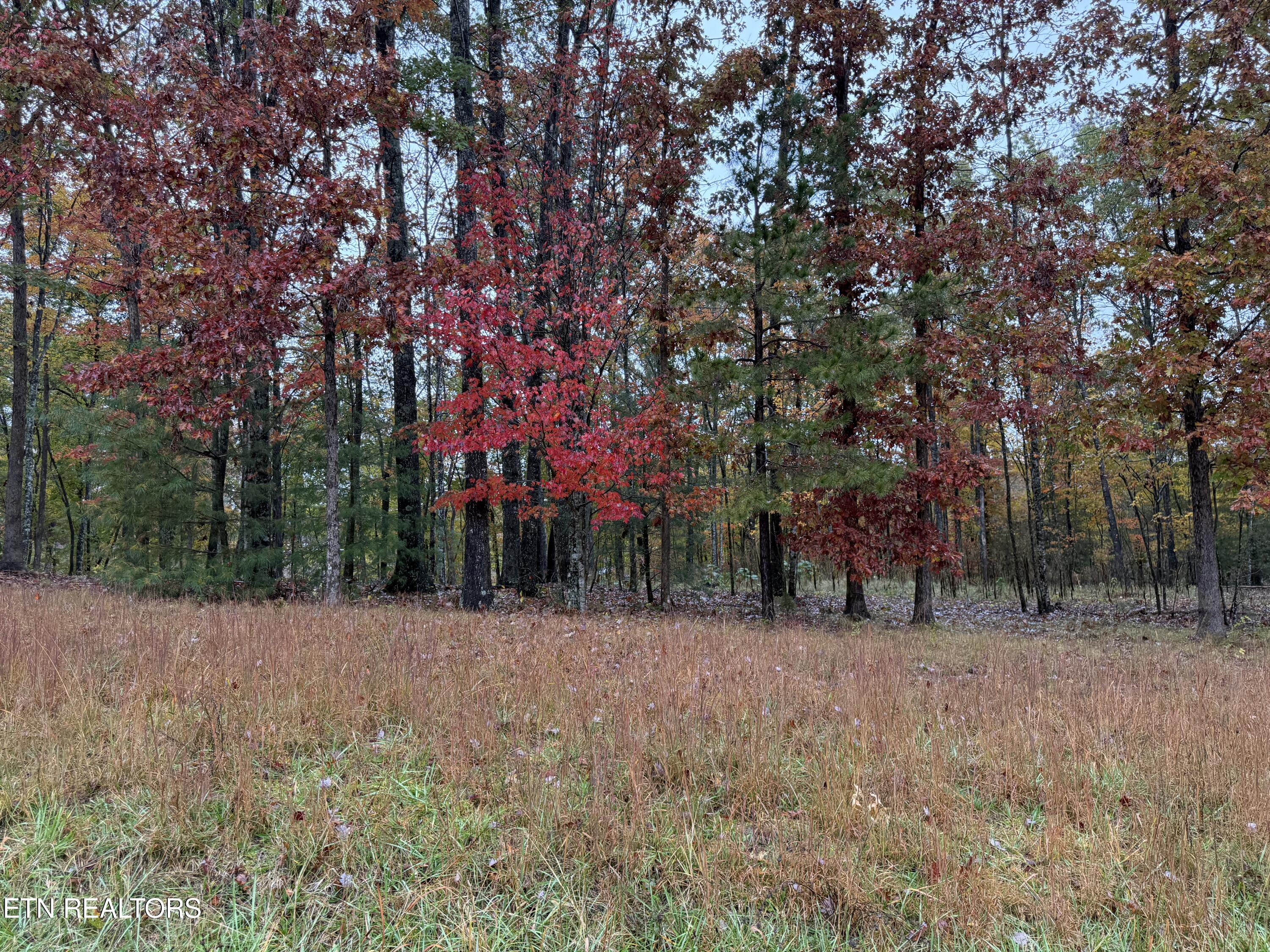 Eagle Bluff Jamestown TN 38556