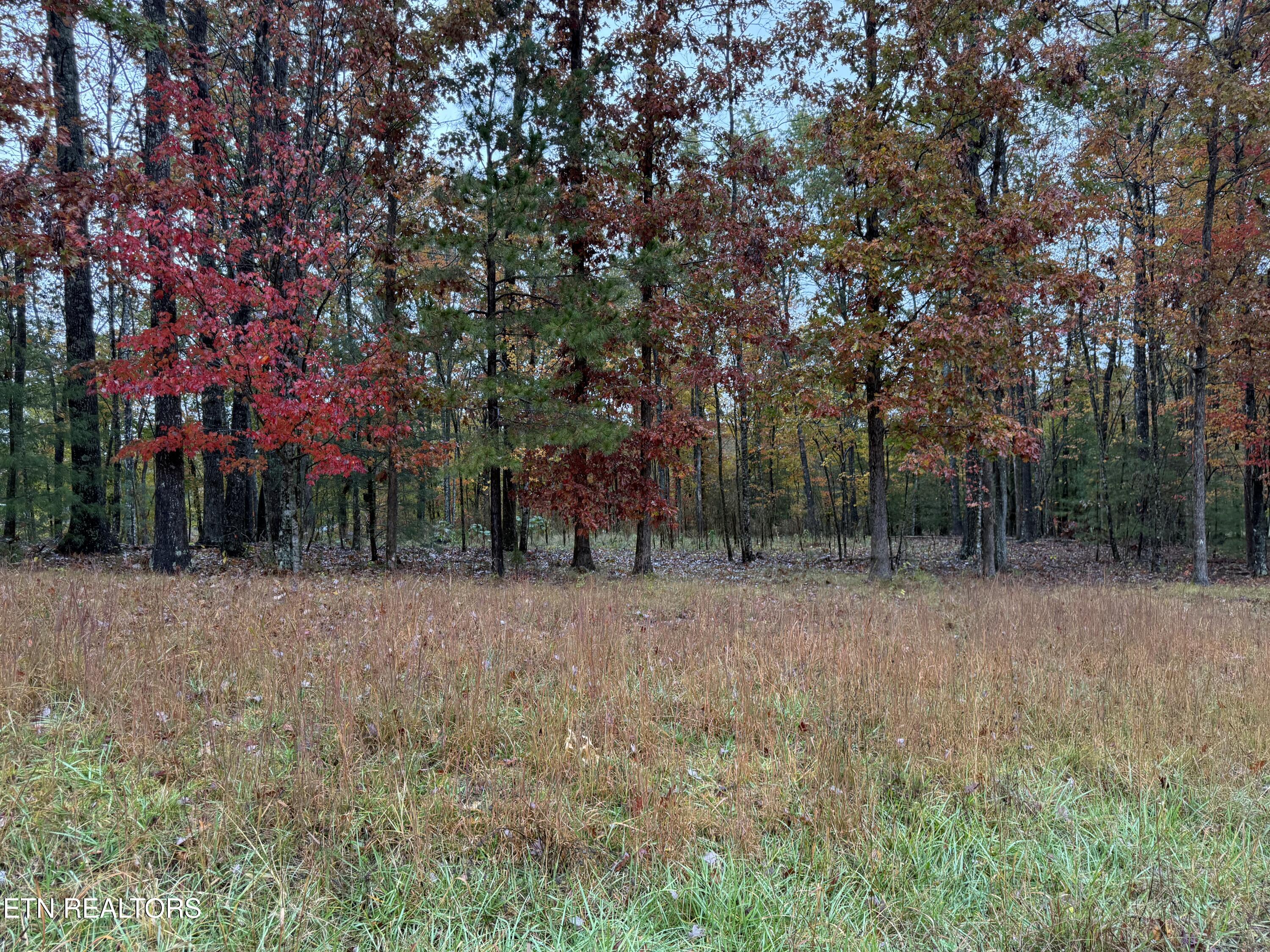 Eagle Bluff Jamestown TN 38556