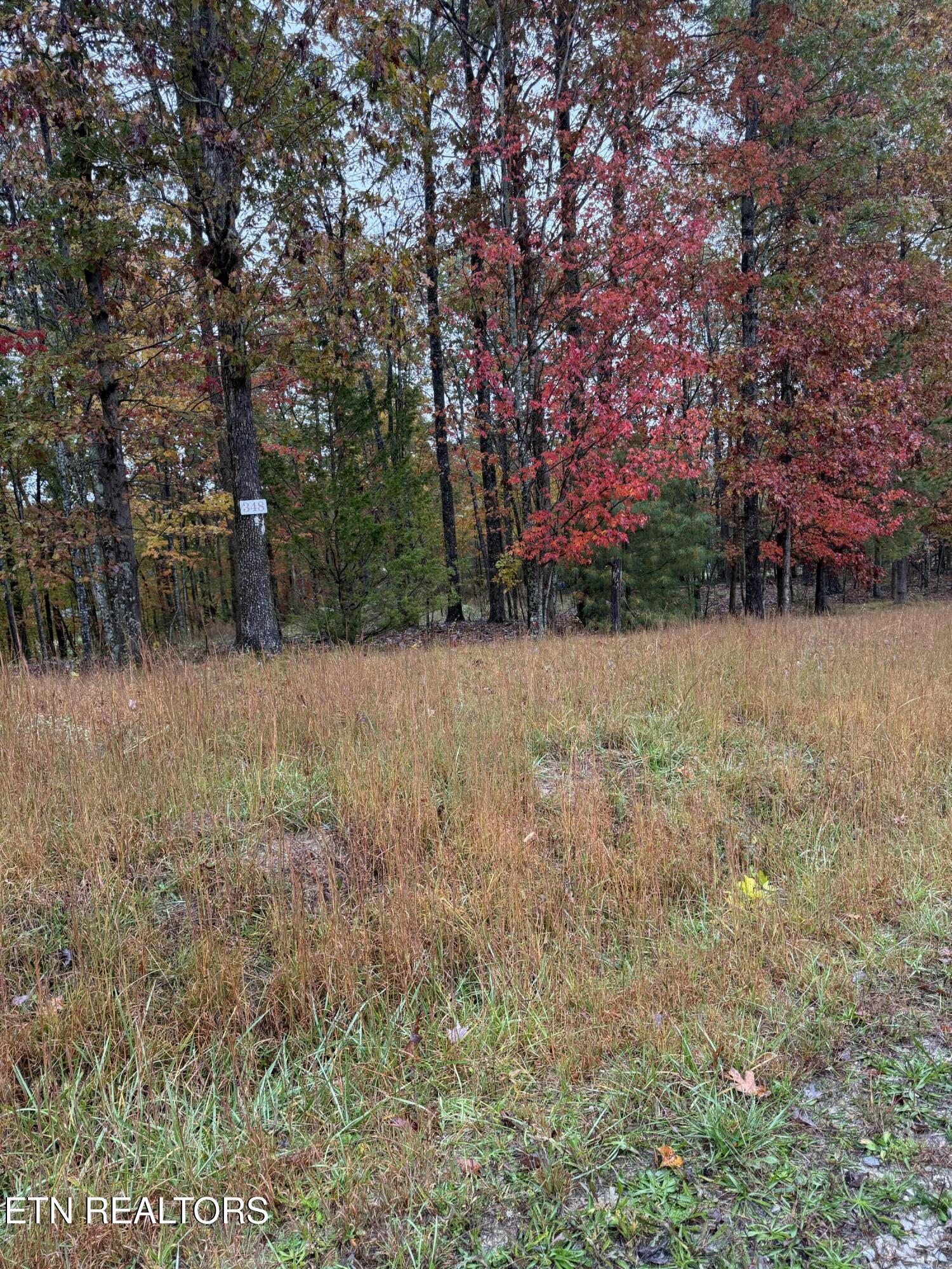 Eagle Bluff Jamestown TN 38556