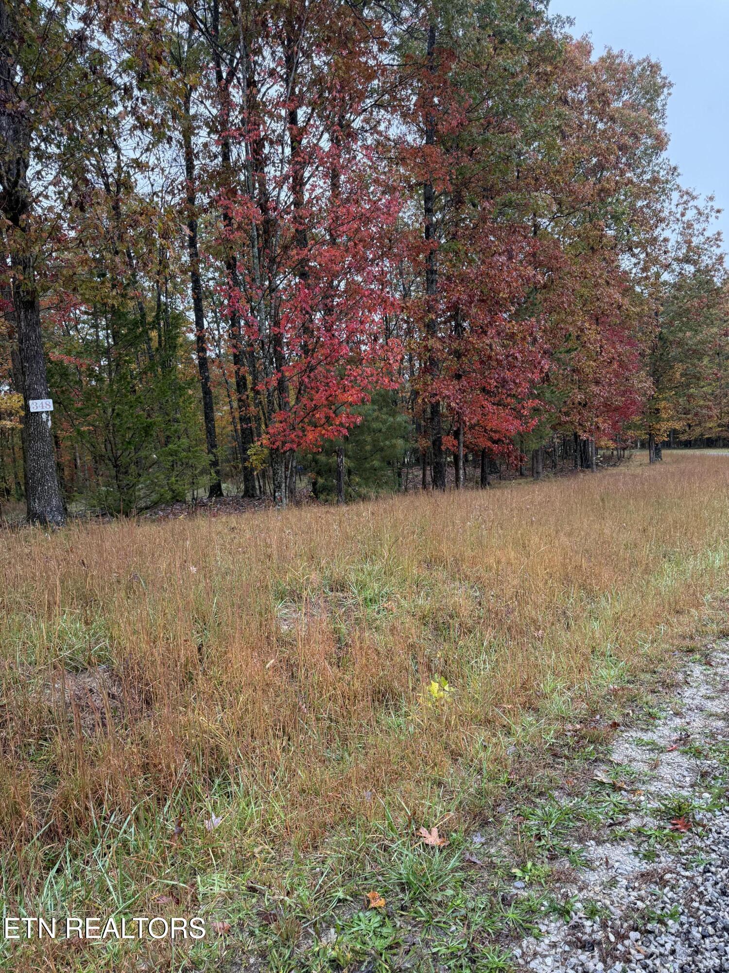 Eagle Bluff Jamestown TN 38556