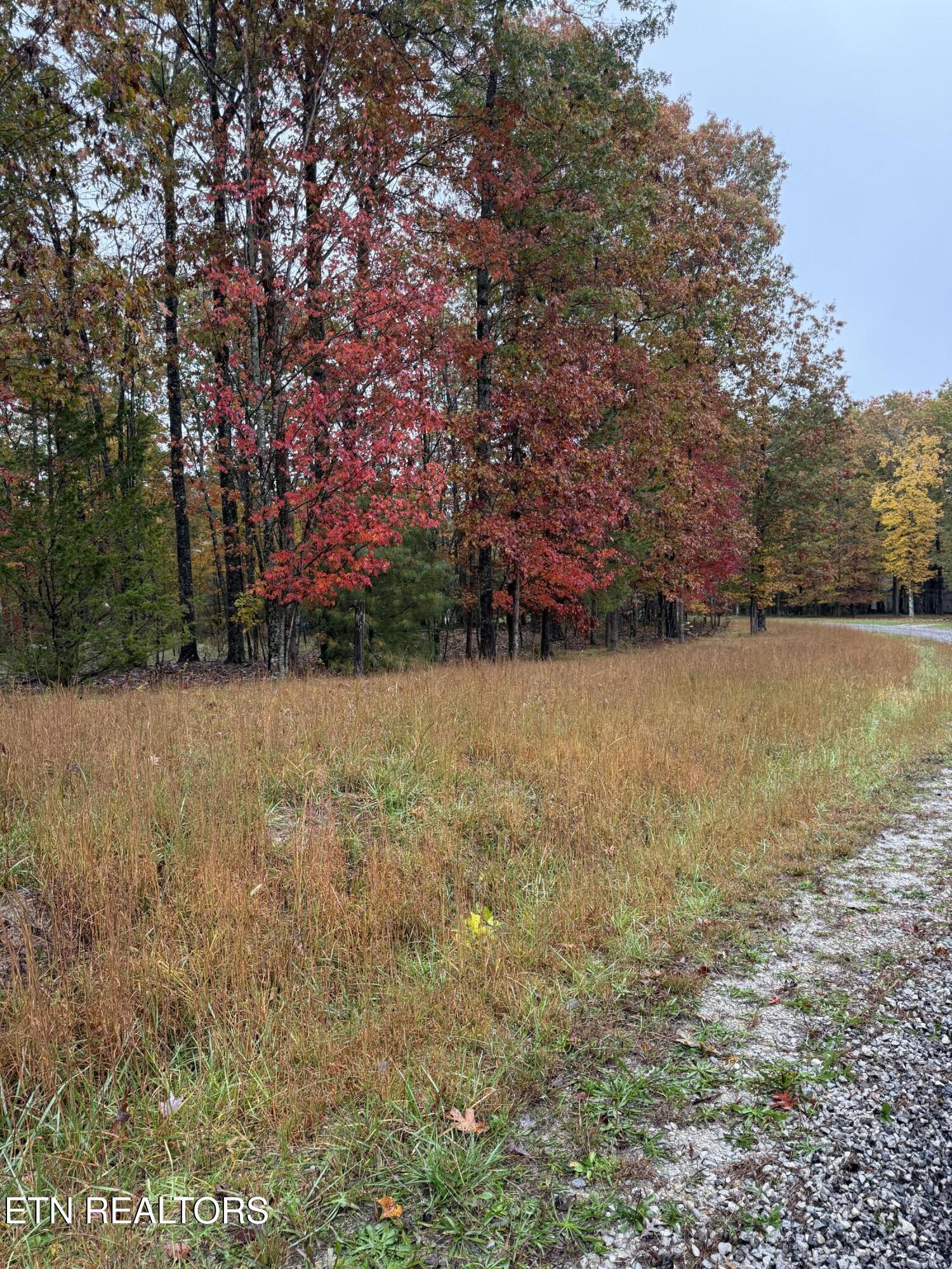 Eagle Bluff Jamestown TN 38556