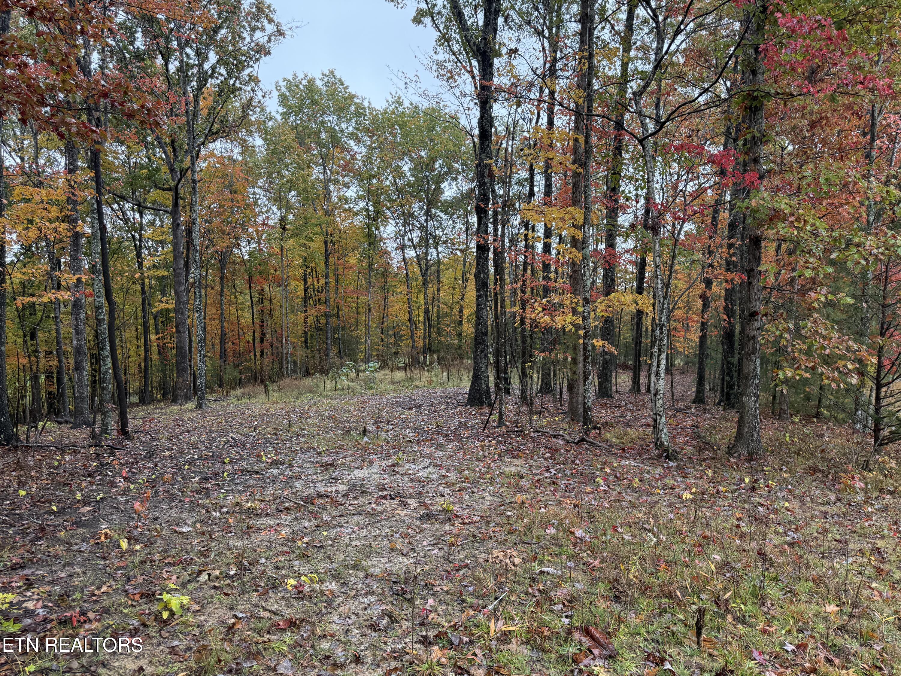 Eagle Bluff Jamestown TN 38556