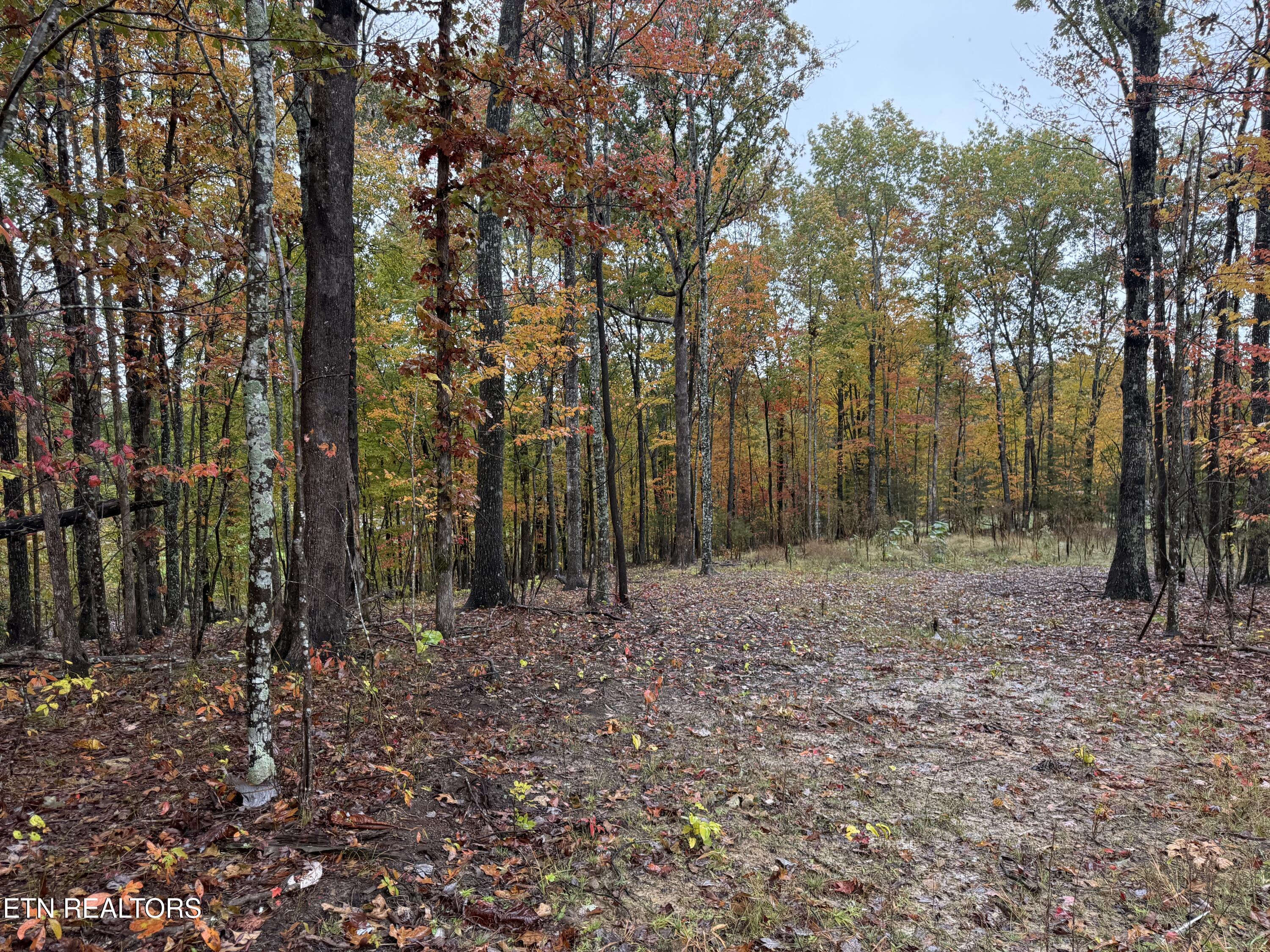 Eagle Bluff Jamestown TN 38556