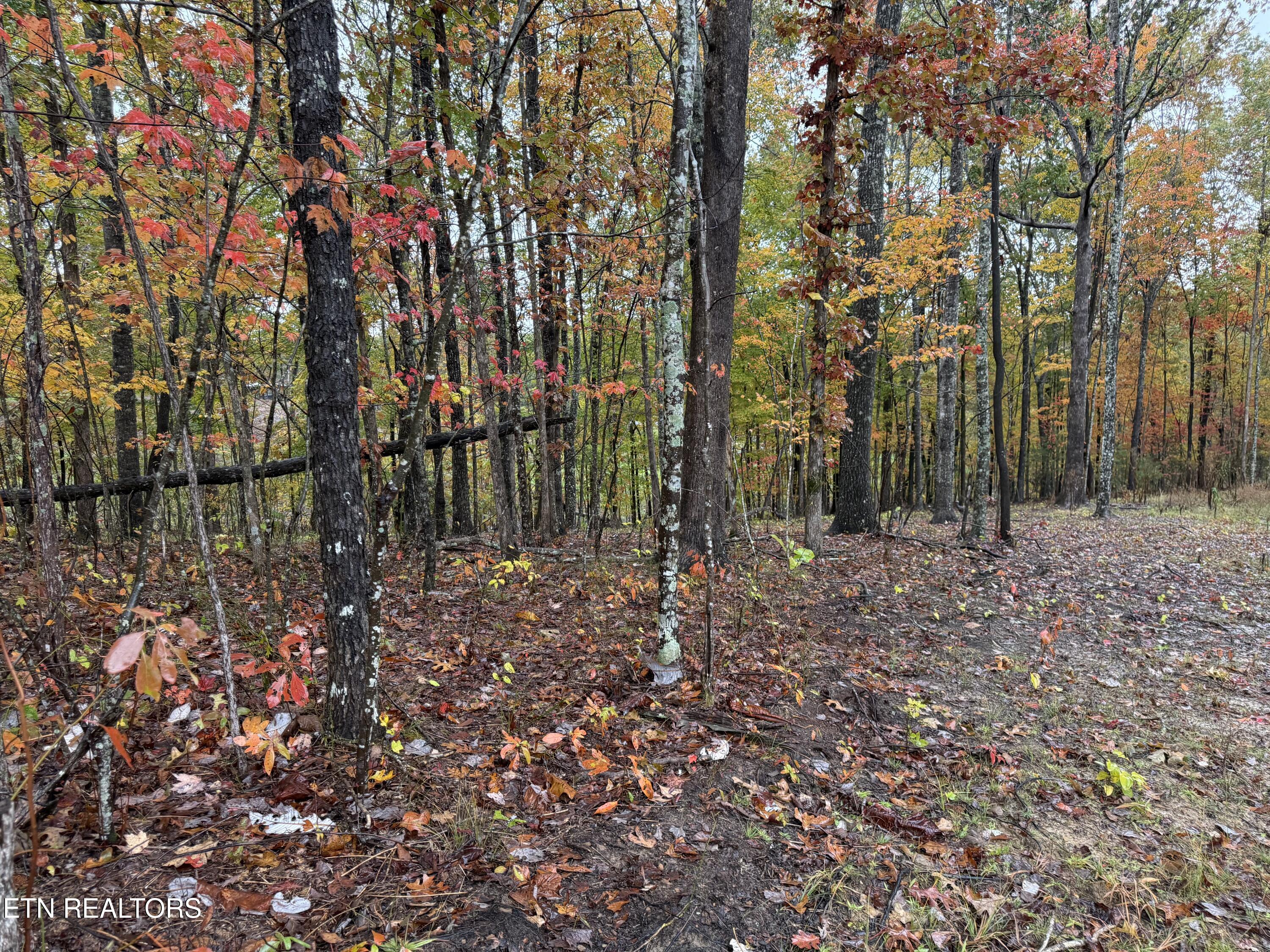 Eagle Bluff Jamestown TN 38556