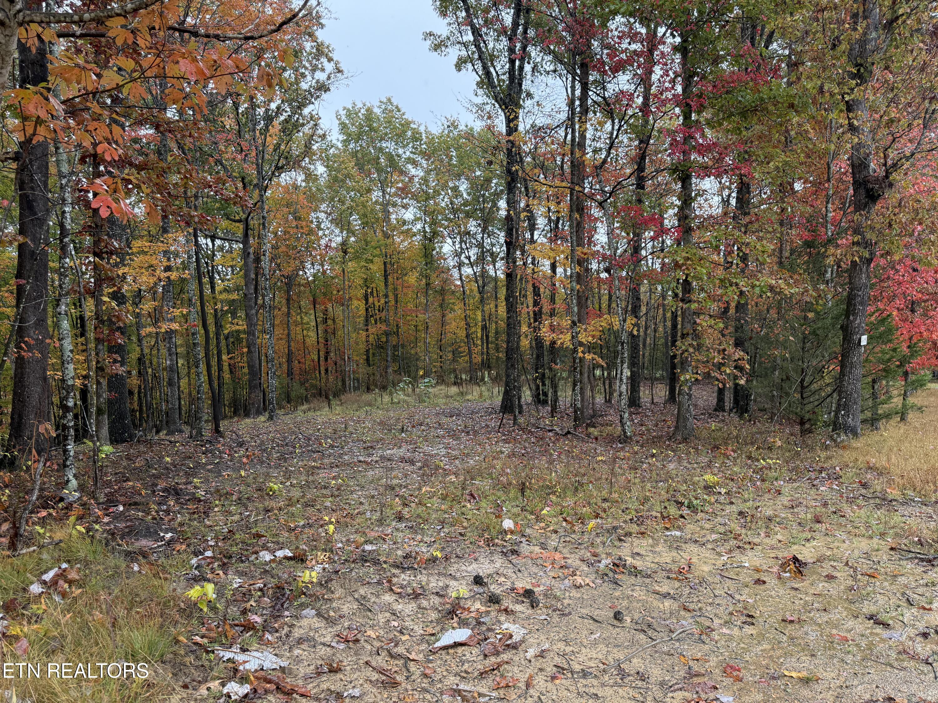 Eagle Bluff Jamestown TN 38556