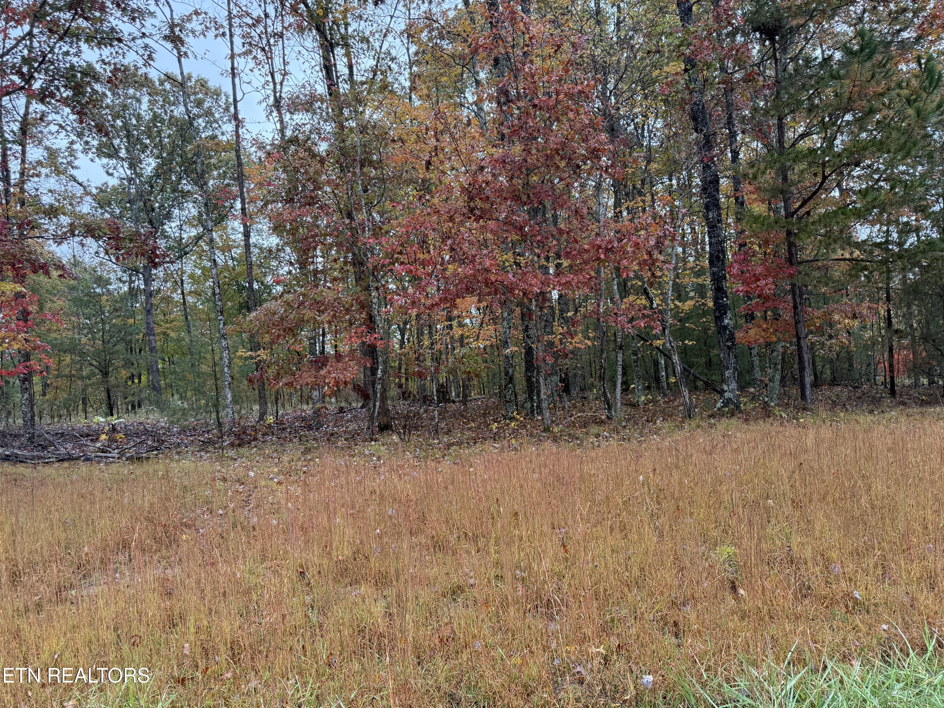 Eagle Bluff Jamestown TN 38556