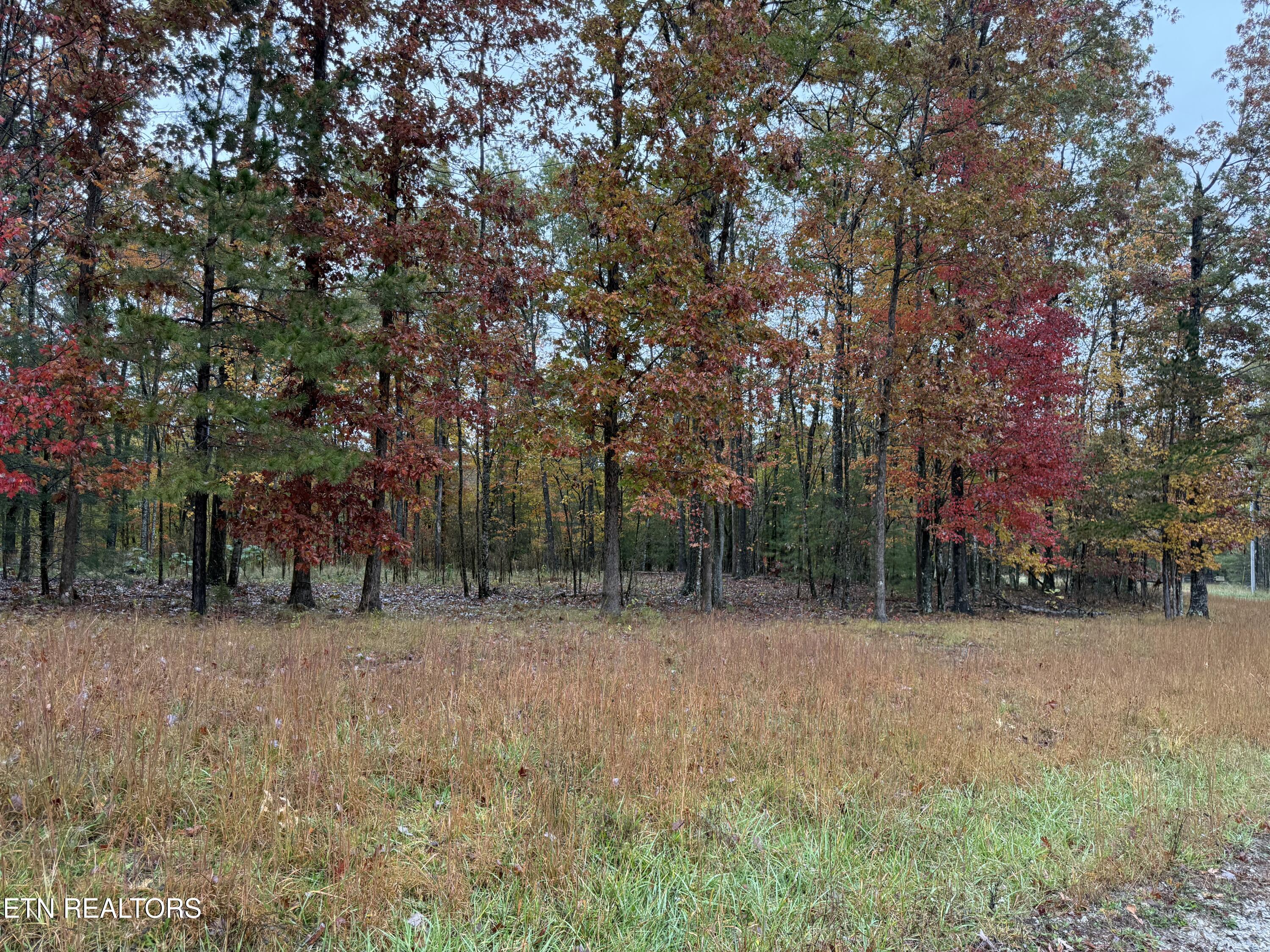 Eagle Bluff Jamestown TN 38556