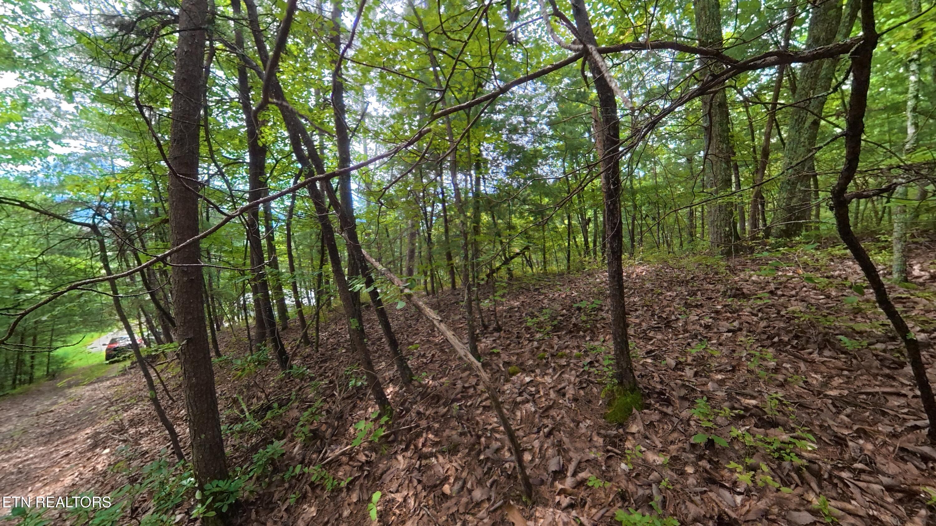Lot 41 Shady Oaks Way Sevierville TN 37876