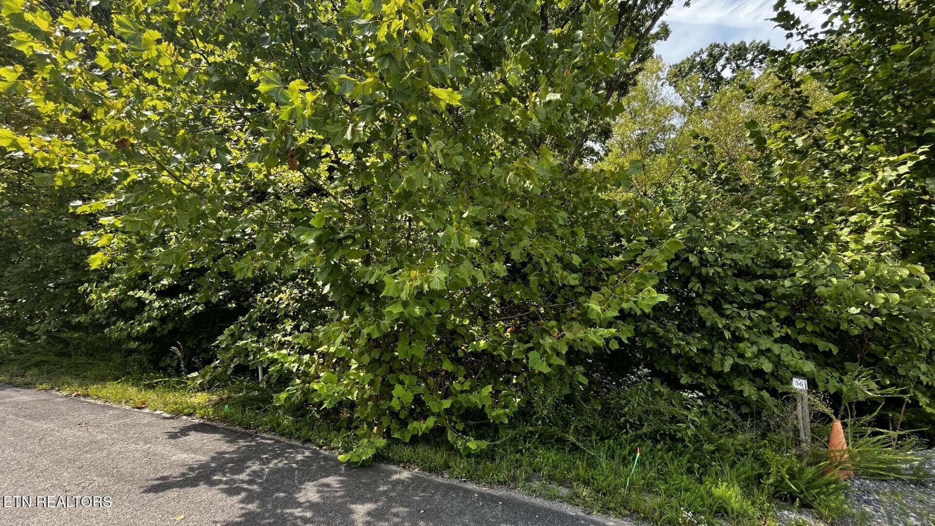 Emerald Pointe Boulevard Sevierville TN 37876