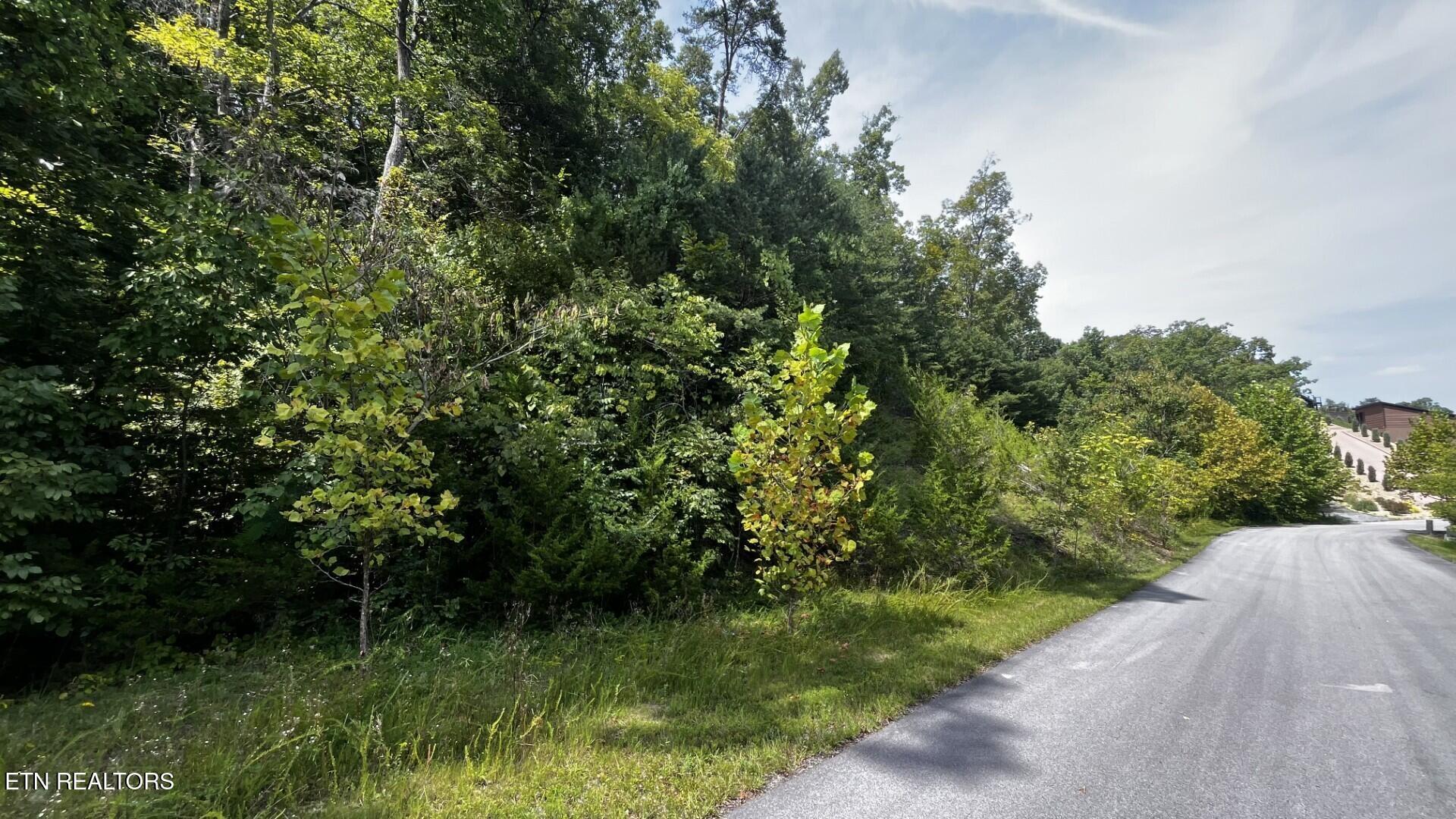 Emerald Pointe Boulevard Sevierville TN 37876