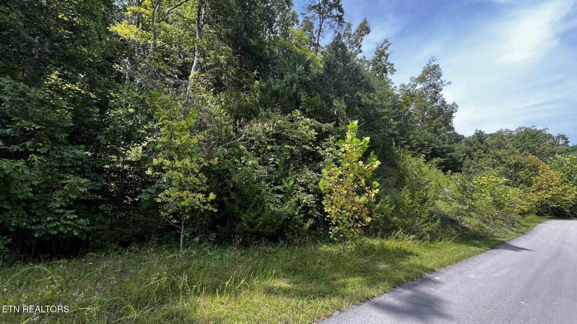 Emerald Pointe Boulevard Sevierville TN 37876
