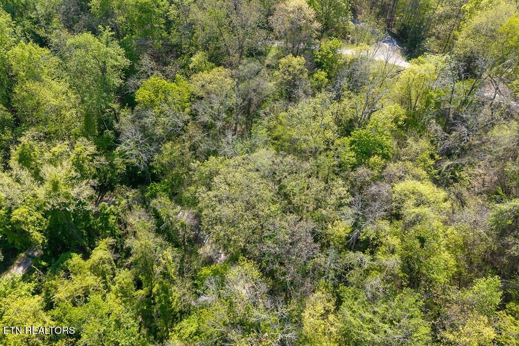 94 Austin Bottom Road Baxter TN 38544