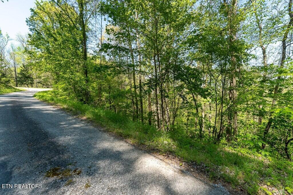 94 Austin Bottom Road Baxter TN 38544