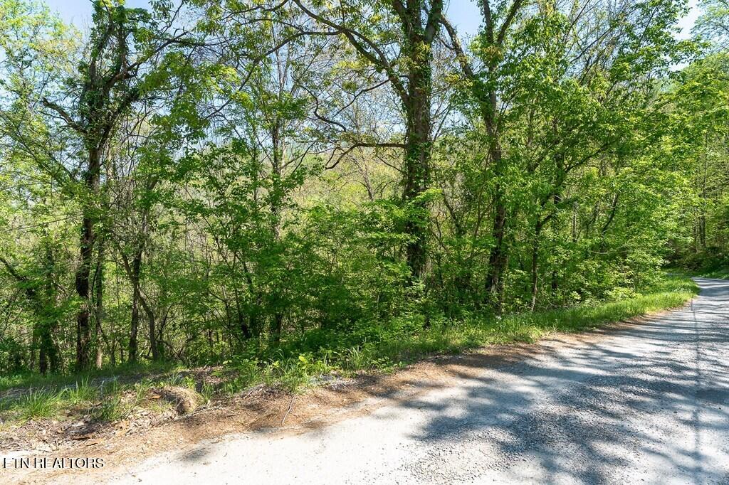 94 Austin Bottom Road Baxter TN 38544