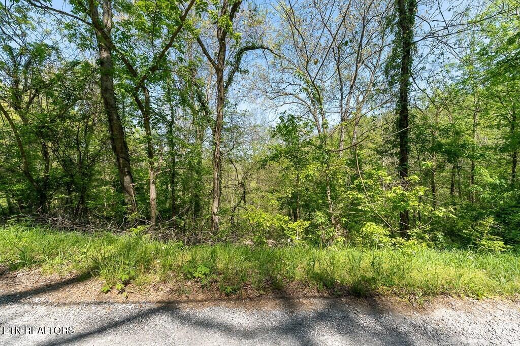 94 Austin Bottom Road Baxter TN 38544