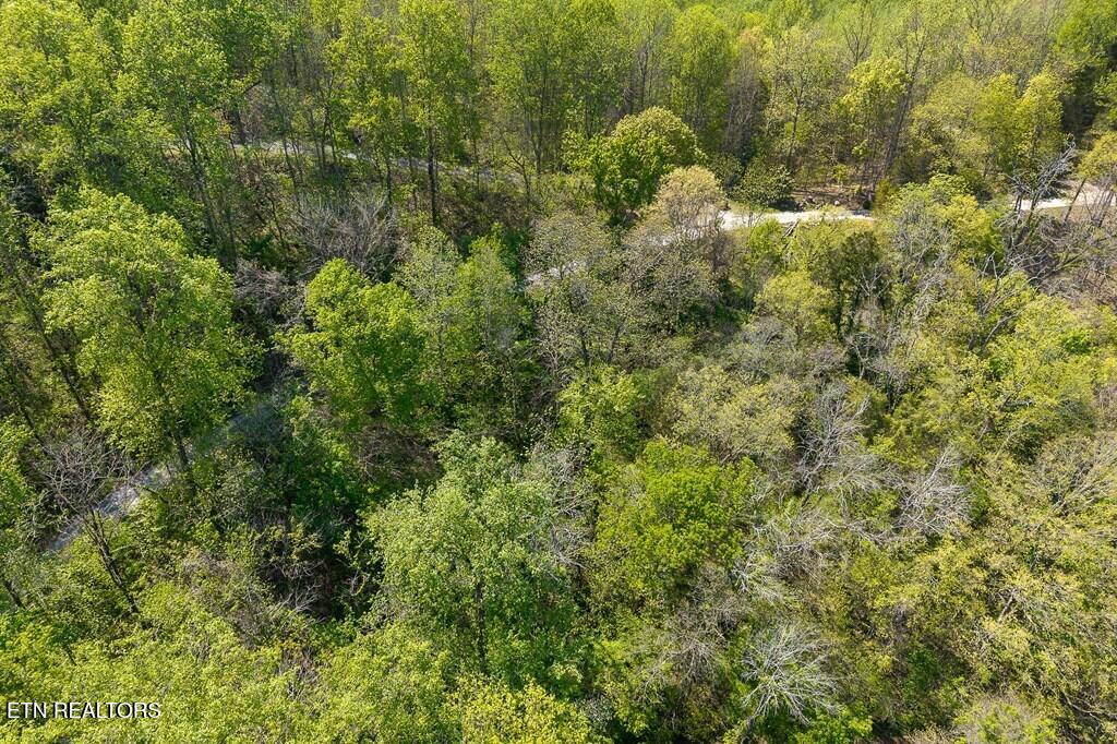 94 Austin Bottom Road Baxter TN 38544