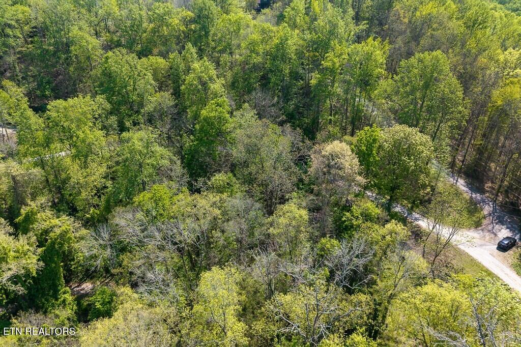 94 Austin Bottom Road Baxter TN 38544