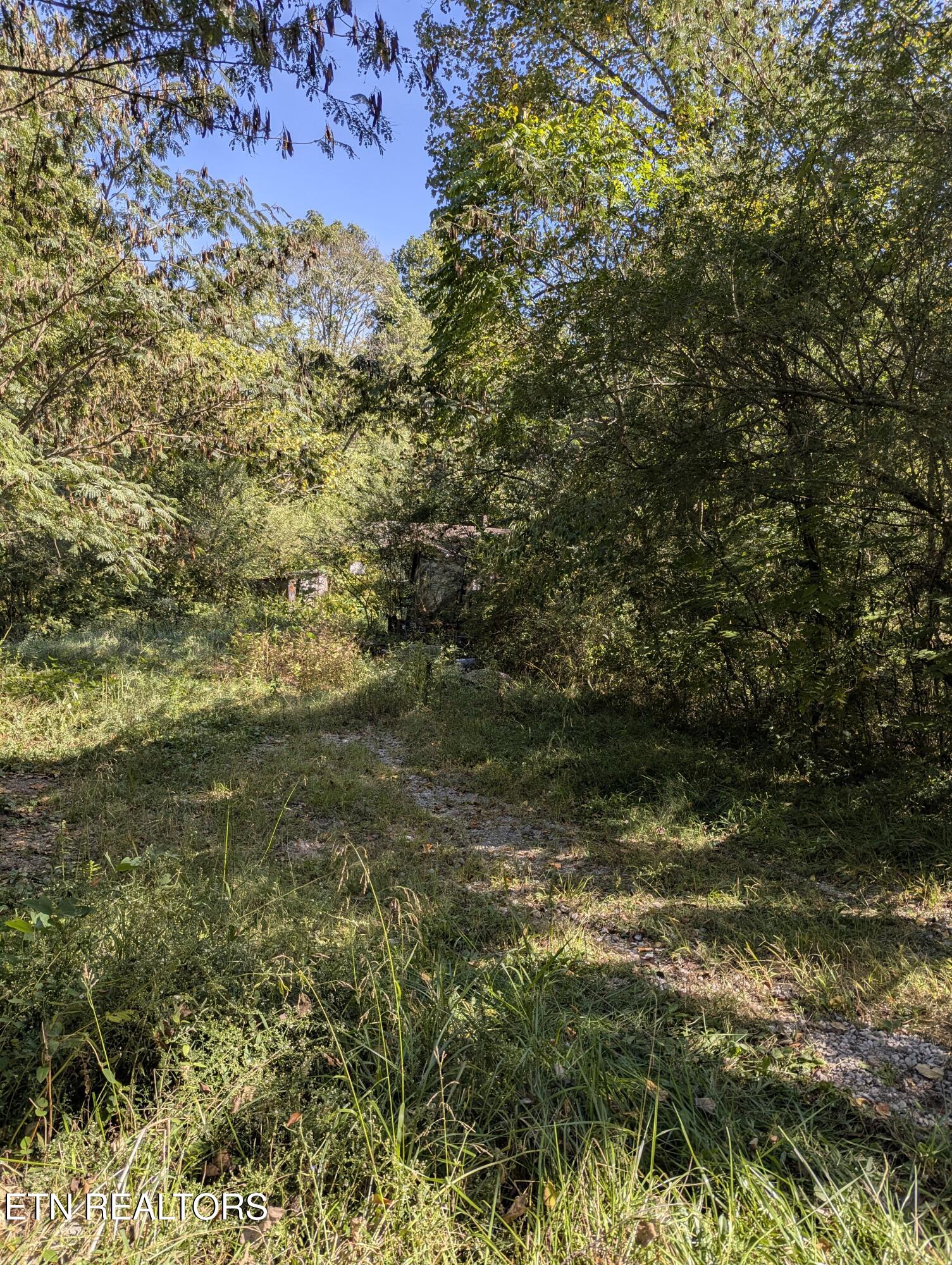 528 N 13th Street Lafollette TN 37766