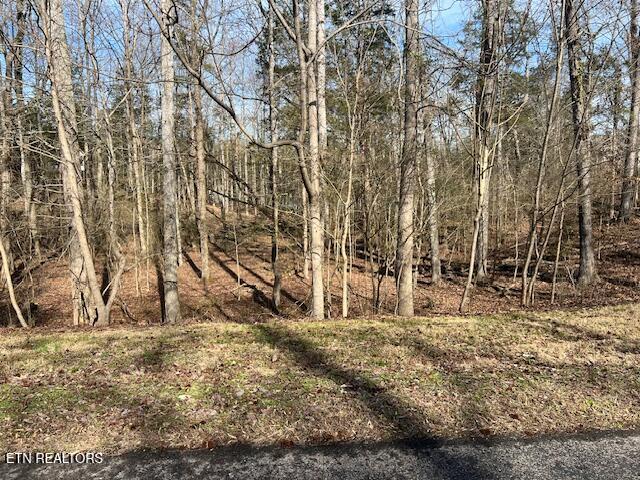 E Shore Drive Rockwood TN 37854