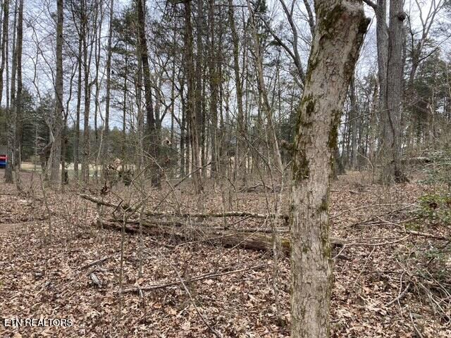 E Shore Drive Rockwood TN 37854