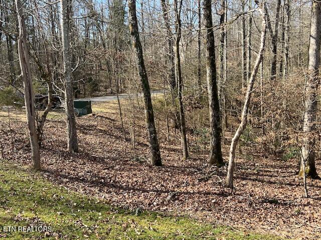 E Shore Drive Rockwood TN 37854