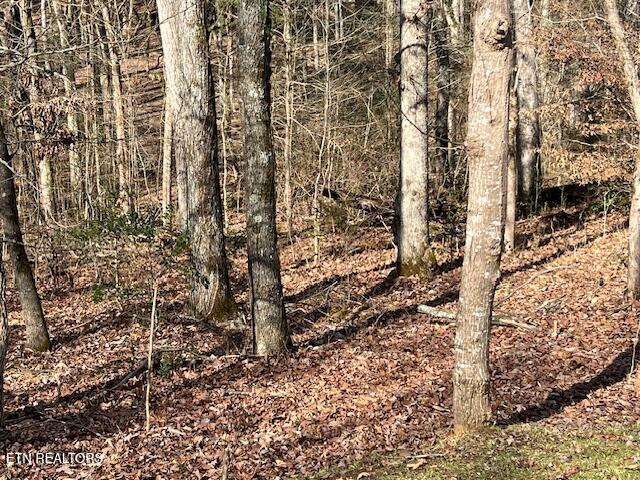 E Shore Drive Rockwood TN 37854