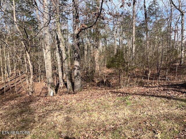 E Shore Drive Rockwood TN 37854