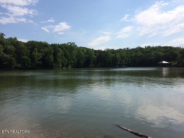 E Shore Drive Rockwood TN 37854