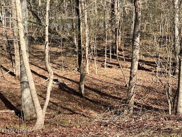 E Shore Drive Rockwood TN 37854