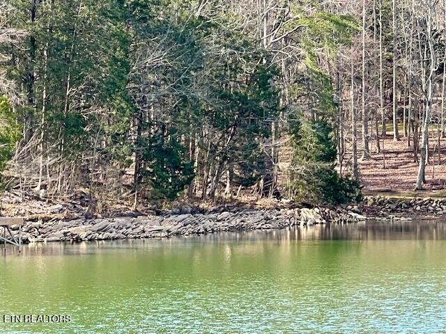 E Shore Drive Rockwood TN 37854