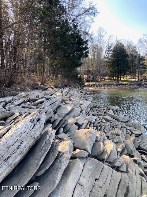 E Shore Drive Rockwood TN 37854