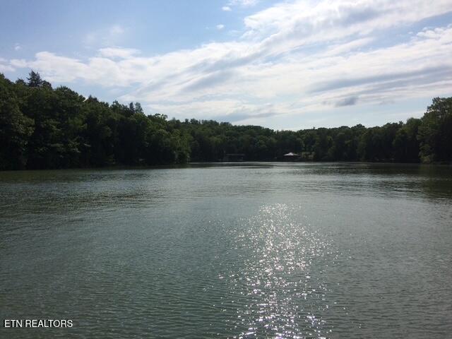 E Shore Drive Rockwood TN 37854