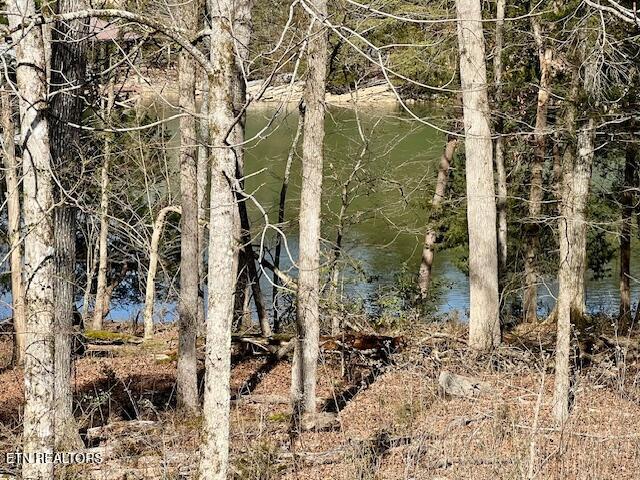 E Shore Drive Rockwood TN 37854