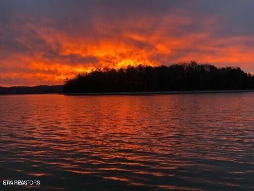 E Shore Drive Rockwood TN 37854