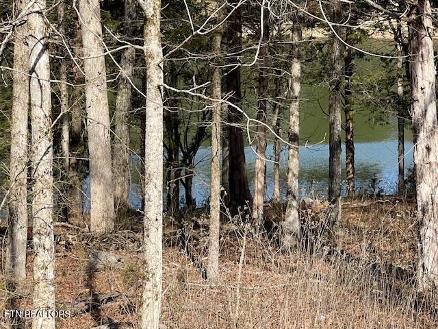 E Shore Drive Rockwood TN 37854