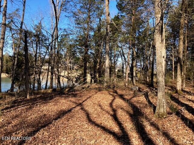 E Shore Drive Rockwood TN 37854
