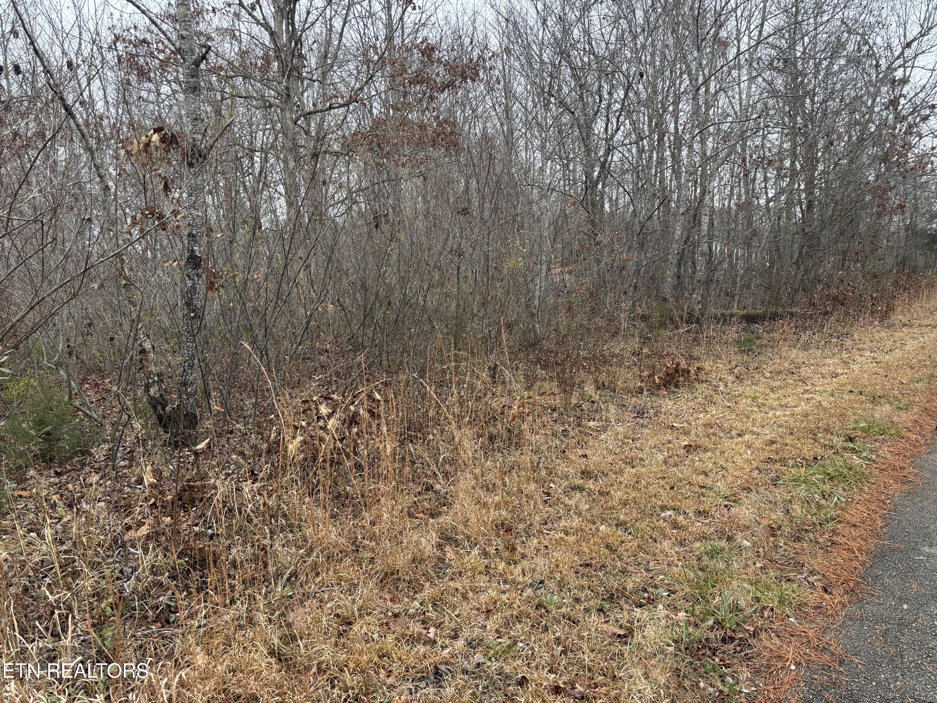 Everett Lane Robbins TN 37852